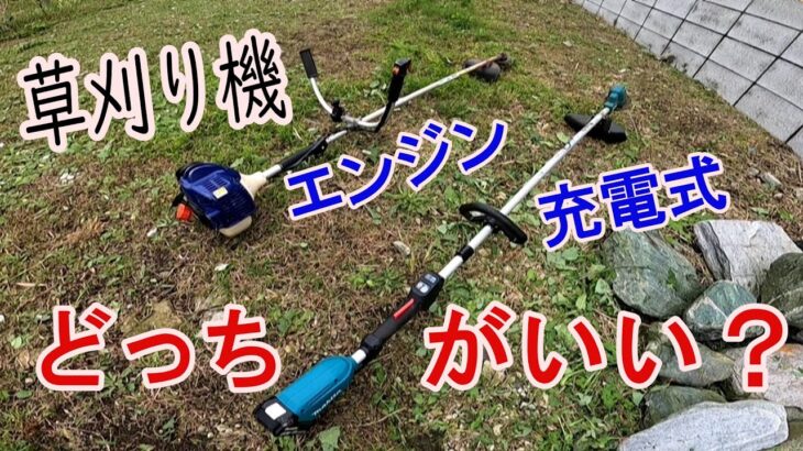 【草刈り動画】エンジン草刈機と18ｖバッテリー草刈機を比較してみた　横須賀市　庭師　畠山庭園