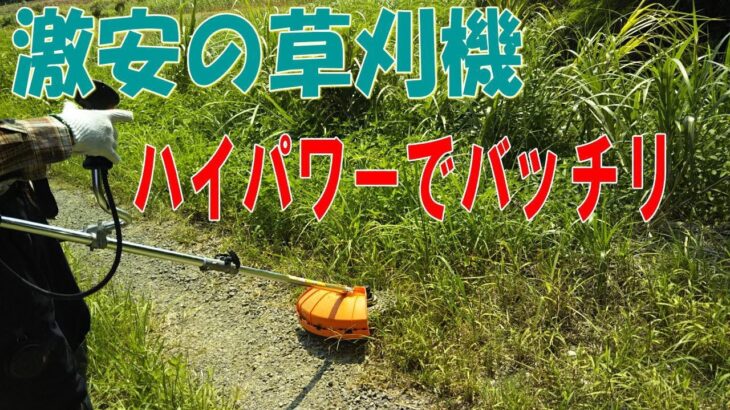 【激安草刈り機】格安でハイパワーのエンジン草刈り機を試しに買ってみました （2つに分割できる WEIMALL 草刈り機 43cc）