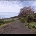 🚴20分エアロバイク用景色風景動画🚴20min cycling workout video🚴 Sanda cycling road in Japan (there and back ver)