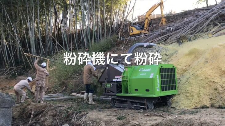 竹林　伐採　粉砕　巨木　伐採　粉砕機  大橋