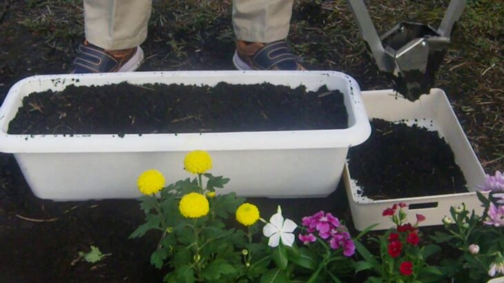 宮崎かおりや　パンジーフットホール穴掘り器(プランター栽培）ベランダでの花を植える場合の検証を致しました。穴掘り後の花はポットから外さずそのまま置きました。平らな穴底検証のためです。
