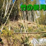 急斜面の竹　新月切り伐採　ウッドチッパーで粉砕