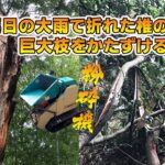 ウッドチッパー粉砕機で倒木を片付ける　竹林整備　九州豪雨