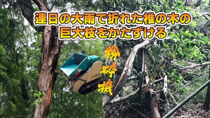 ウッドチッパー粉砕機で倒木を片付ける　竹林整備　九州豪雨