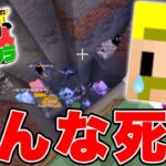 【マイクラ】40人が『全ロス』直下掘りで『豪邸』を建築しようとした結果…【40人マイクラ#9】【ドズぼん】