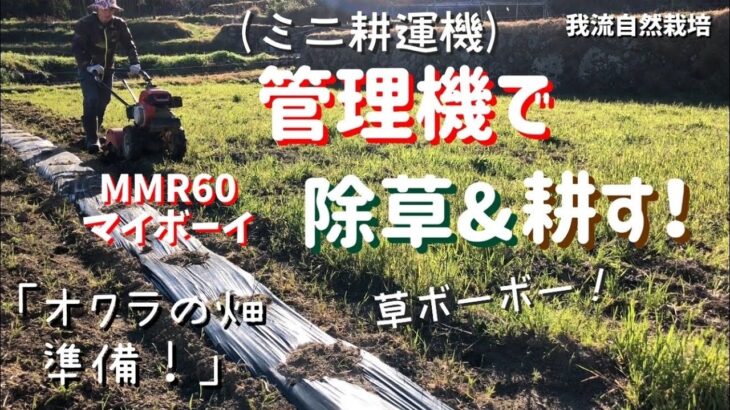 管理機(小型耕運機)で除草&耕す！(MMR60マイボーイでオクラの畑準備！)[3.20/我流自然栽培］