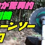 【草刈り機】チェーンソー刃がハンパない！竹藪を伐採開墾して木漏れ日の広場を作るpart2