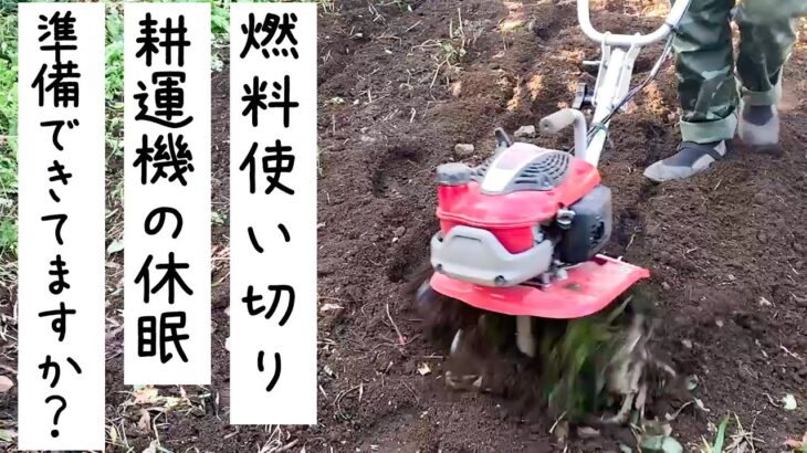 耕運機保管の前に！収穫したばかりのさつまいもエリアを耕運機でリセット！耕運機の休眠準備できてますか？春にまた活躍してもらうために燃料を使い切ろう！【春の時間】