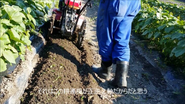 正逆１軸の耕運機でマルチの際を除草