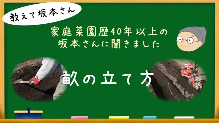 【畝の立て方】鍬（くわ）や耕運機、レーキを使った畑の畝の立て方