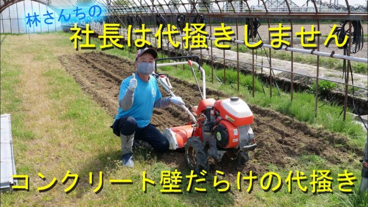 市街地に代掻き突入・社長の愛機は耕運機です・2021