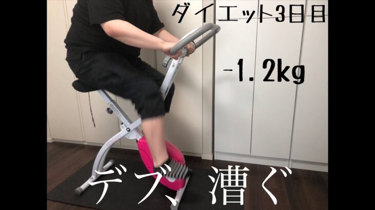 【ダイエット】~3日目~デブ、フィットネスバイクに乗る。