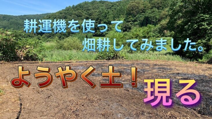 【#4】手押し耕運機で土を耕しました。 初・耕運機！