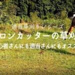 【草刈り】元植木屋が教える！ナイロンカッター草刈り機の上手な使い方　How to use a nylon cutter mower