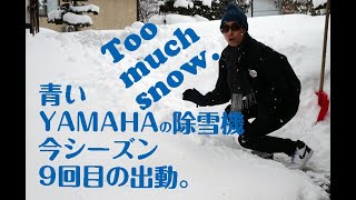 青いYAMAHAの除雪機今シーズン９回目の出動。 Too much snow.