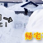 【 悲報 】家に入れない。。。除雪します。