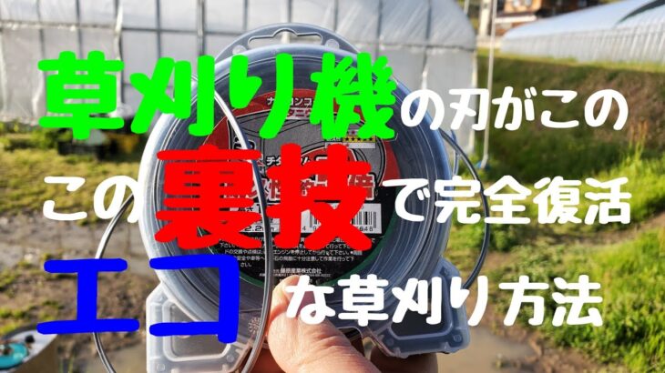 草刈り機の金属刃を結束バンドで復活させられるのか⁉️かなり手間要らずで草刈りがスイスイ🎶