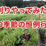 【超普通】草刈り機で麦畑の雑草を刈り取り作業！