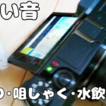 【癒し】ハムスターの可愛い穴掘り音。咀嚼音、水飲み音など