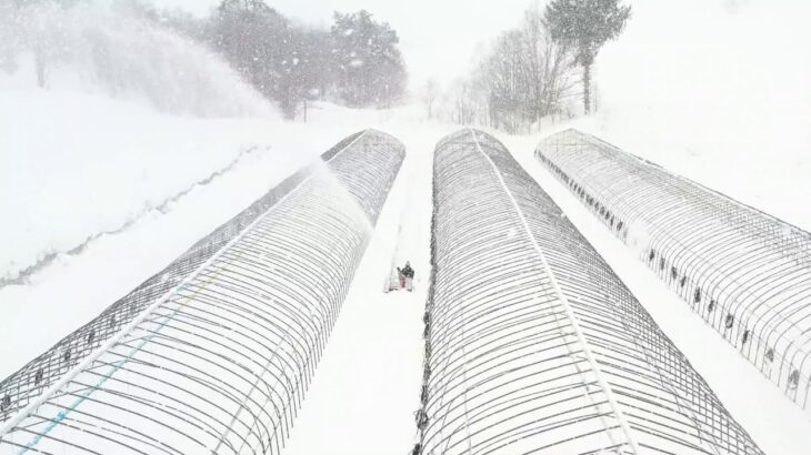 【ワドー除雪機 ドローン撮影】＃北海道＃除雪＃ワドー＃ドローン＃空撮＃大雪降る中の作業