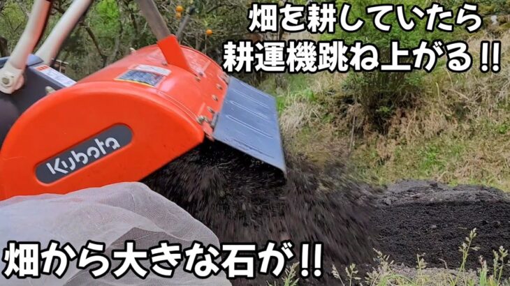 耕運機で畑を耕していたら石が！