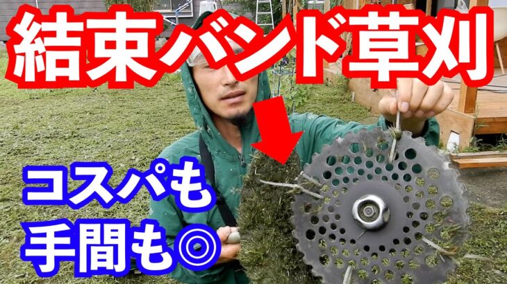 【知らなきゃ損】結束バンドを使っての草刈りが究極。これ以上の方法はないであろう！！