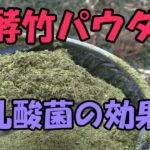 【発酵竹パウダー】発酵竹パウダーの作り方・効果