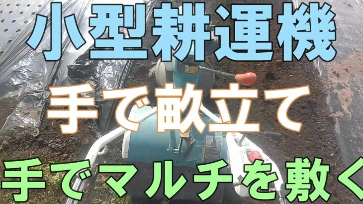 歩行用耕運機手作業によるマルチ敷き210514