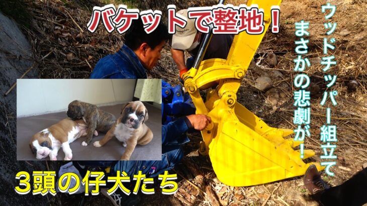 3台目コンテナの準備！ウッドチッパー組み立てで思いもよらない悲劇が！？　ボクサー犬、仔犬たちの可愛い動画もUPしたよ！