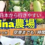 Keina農場　順調に作物が育っています、やはり移住には農地があるといいです