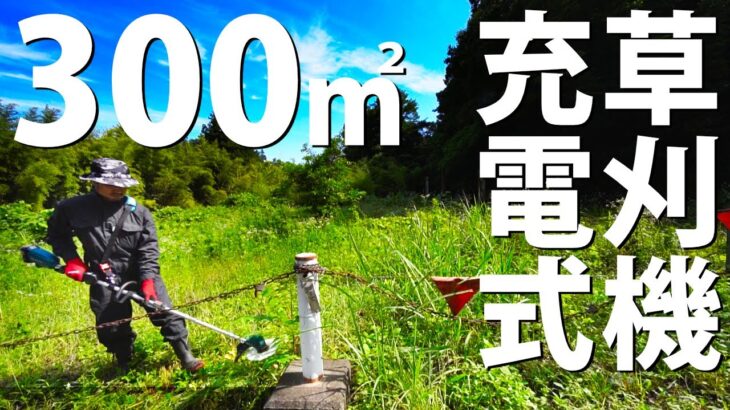 【草刈り】マキタ充電式草刈り機「MUR191LD」で300平米の草を刈る！