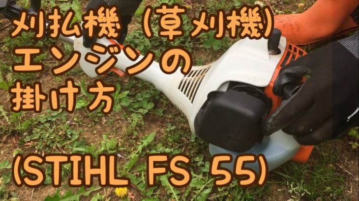 刈払機 エンジンの掛け方 STIHL FS55 草刈機