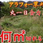 背負い式草刈り機で丸一日草刈り　何㎡切り上げたのか？（後編）