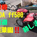 ホンダ耕運機　ＦＦ５００