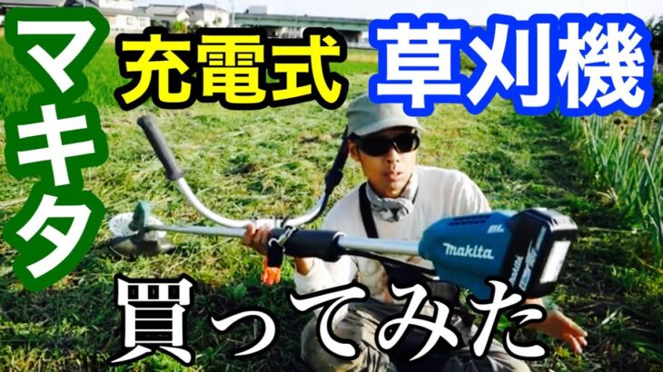 マキタ充電式草刈機を使ってエンジン式と比較してみた感想：2021年6月21日