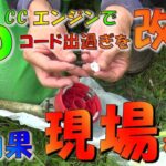 草刈り　26cc草刈り機で山善GA 01系オートカッター現場草刈り作業でスペーサー効果検証しました。