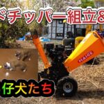 今回の作業動画は縦に張るウッドフェンスとウッドチッパー組立て＆始動！です。ワンココーナーは3頭の仔犬がおもちゃで遊んでる可愛いシーンをご覧ください。