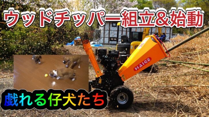 今回の作業動画は縦に張るウッドフェンスとウッドチッパー組立て＆始動！です。ワンココーナーは3頭の仔犬がおもちゃで遊んでる可愛いシーンをご覧ください。