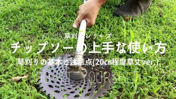 【草刈り】元植木屋が教える！チップソー(草刈機)の上手な使い方　A former gardener teaches! Basic usage of tip saw (mower)