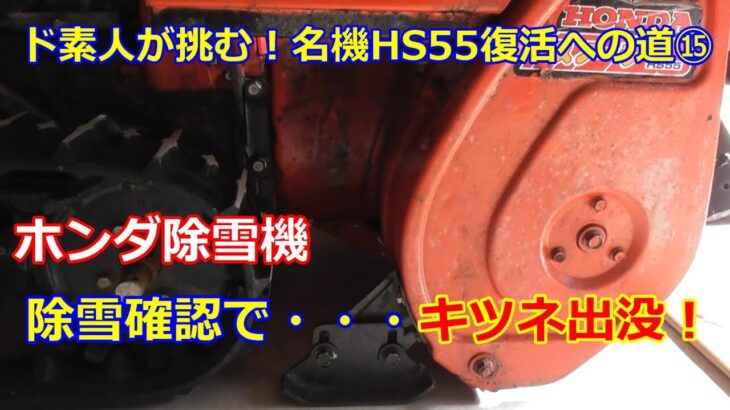 ホンダ除雪機 HS55 復活への道 ⑮　キツネ出没！除雪できない！