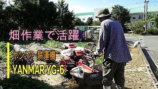 【農作業】畑の耕運作業で大活躍！YANMAR 耕運機 YG-6