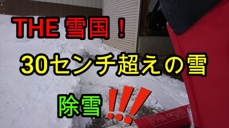 大雪を楽しもう！雪国あるある。ヤンマー除雪機始動