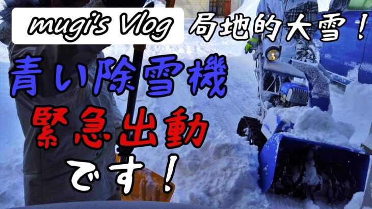 【vlog】【除雪機】局地的大雪です　青い除雪機緊急出動します！　４時間で１メートル！