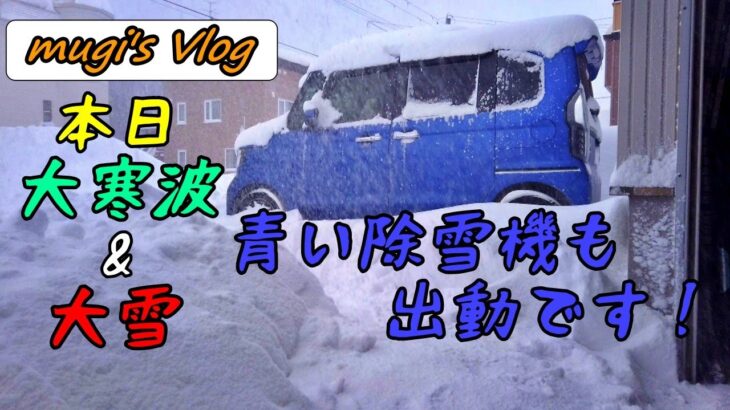 【vlog】【除雪機】青い除雪機緊急出動！大寒波と大雪です・・・ママの嘆きも・・（(笑)