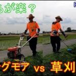 ウイングモア　vs　草刈り機　田んぼ・2021　20210529　オーレック・WM606D　　丸山　・MB278U