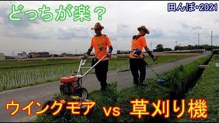 ウイングモア　vs　草刈り機　田んぼ・2021　20210529　オーレック・WM606D　　丸山　・MB278U
