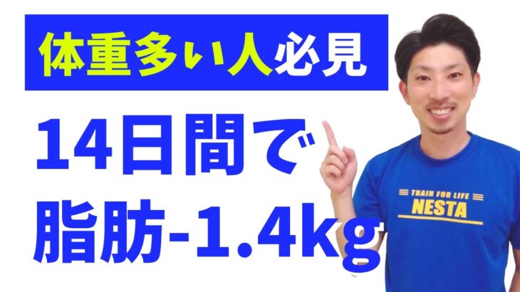 たった2週間で脂肪を-1.4kg落とすダイエット法