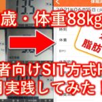 50歳体重88㎏、本当に脂肪は減るの？”初心者さん向けSIT方式HIIT12週間プログラム”を1か月実践してみた！体重は？体脂肪率は？