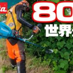 【80V】世界最強の電動草刈機使ってみた【マキタ】MUR012GZ
