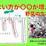 【#84】耕さない不耕起栽培の利点!!あるものが増えることにより野菜の生育がうまくいく!!